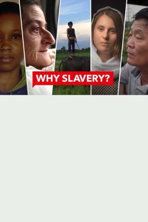 WHY SLAVERY? (2018) poster