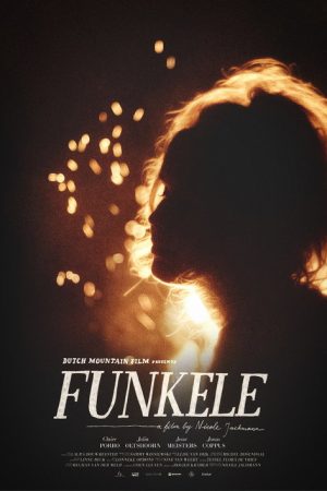 Funkele (2021) poster