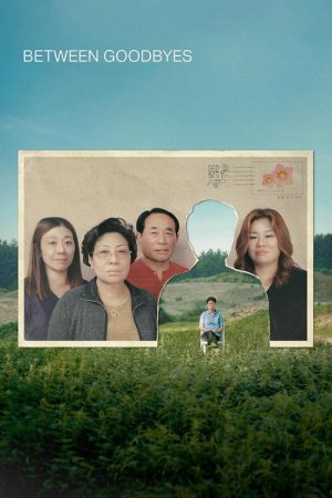 Between Goodbyes (2024) poster
