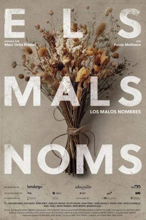 Els mals noms (2025) poster