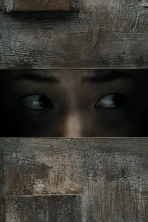 6 LEGS (2020) poster