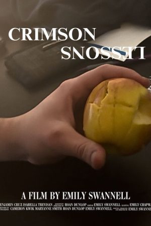 Crimson Lessons (2024) poster