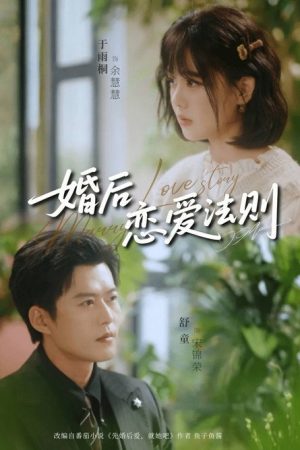 婚后恋爱法则 (2026) poster