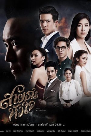 heart stream (2017) poster
