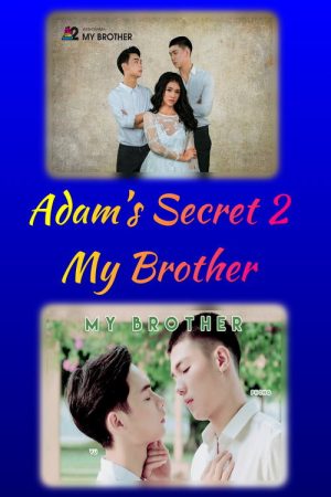 Adam’s Secret 2 poster