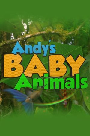 Andy’s Baby Animals (2016) poster
