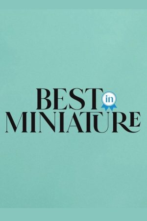 Best In Miniature (2022) poster