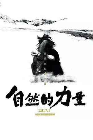 自然的力量 (2017) poster