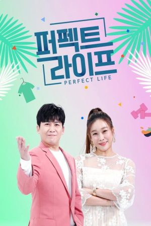 퍼펙트 라이프 (2020) poster