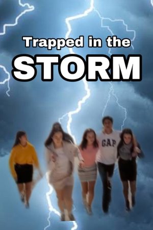 Trapped in the Storm (2019) poster