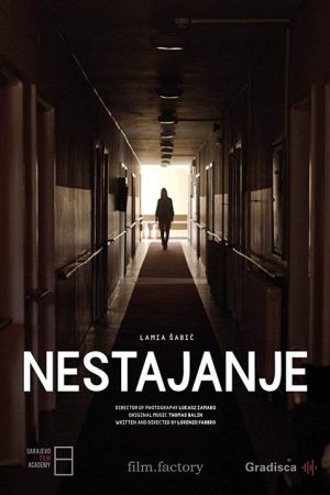 Vanishing (2018) poster