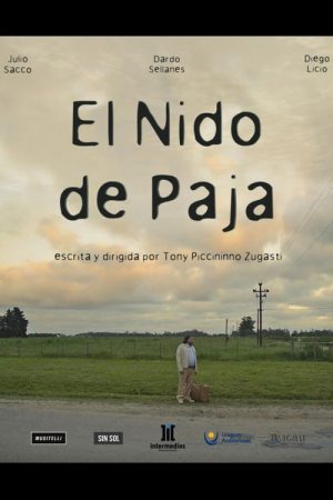 El Nido de Paja (2021) poster