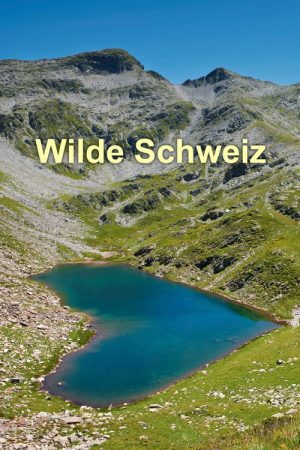 Wilde Schweiz (2022) poster