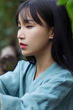 李子柒全集 (2021) poster