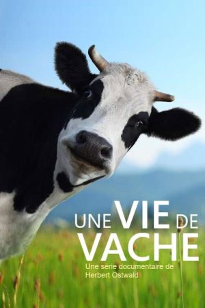 The Secret Life of Cows (2021) poster