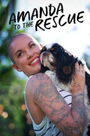 Amanda to the Rescue (2018) poster