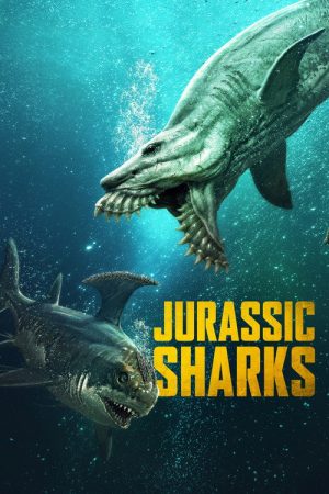 Jurassic Sharks (2026) poster