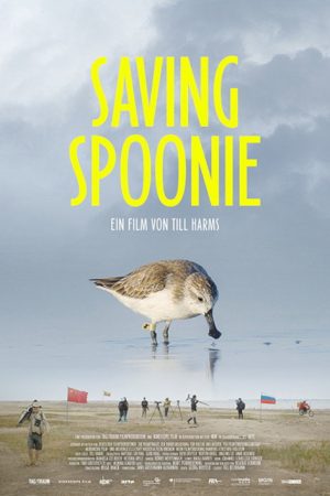 Saving Spoonie (2026) poster