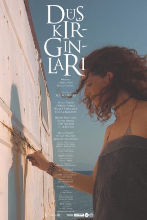 Düş Kırgınları (2018) poster