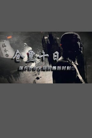 仓皇十日：蒋介石在大陆的最后时刻 (2016) poster