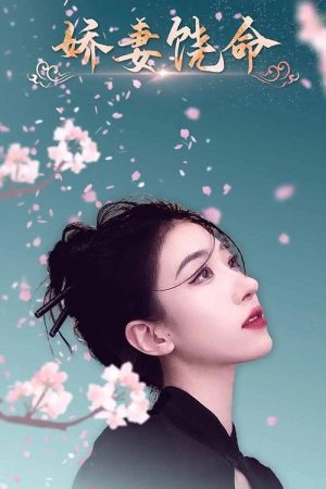 娇妻饶命 (2023) poster