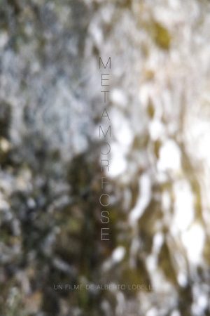 Metamorphosis (2021) poster