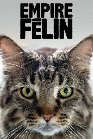 Cat Empire (2019) poster