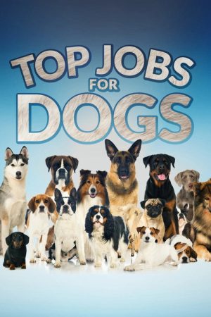 Top Jobs for Dogs (2021) poster