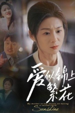 爱似锦上繁花 (2025) poster