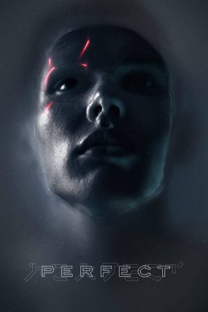Perfect (2019) poster