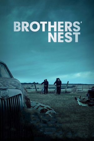Brothers’ Nest (2018) poster