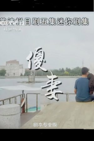 傻妻 (2017) poster