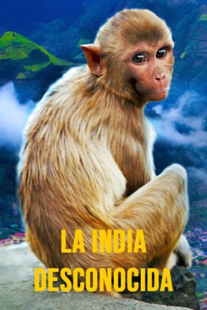 La india desconocida (2016) poster