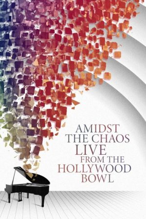 Amidst the Chaos poster