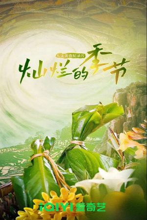 灿烂的季节 (2023) poster
