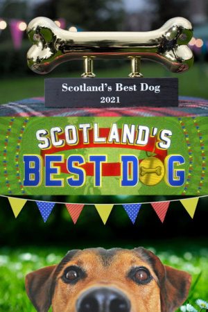 Scotland’s Best Dog (2021) poster