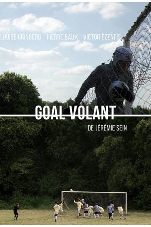 Goal Volant (2016) poster