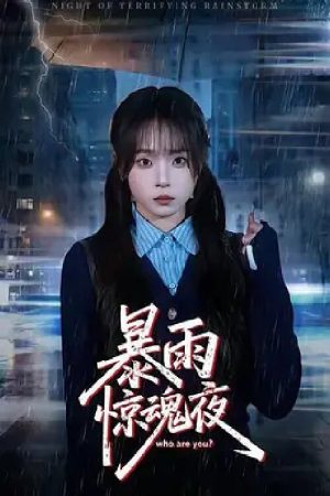 暴雨惊魂夜 (2026) poster