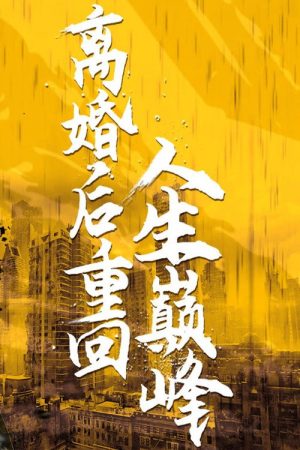 离婚后重回人生巅峰 (2023) poster