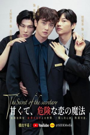 The Secret of the Secretary (2025) poster