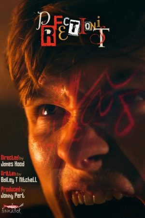 Perfectionist (2020) poster