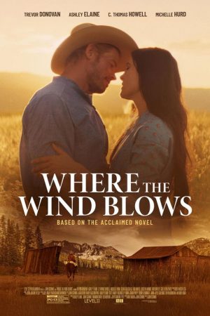 Where the Wind Blows (2025) poster