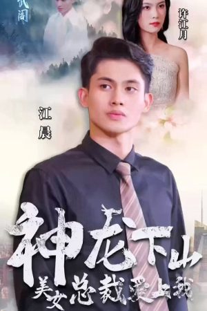 神龙下山美女总裁爱上我 (2023) poster