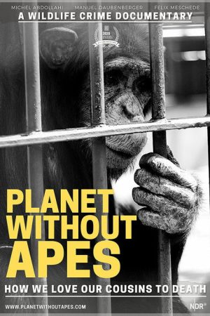 Planet Without Apes (2021) poster