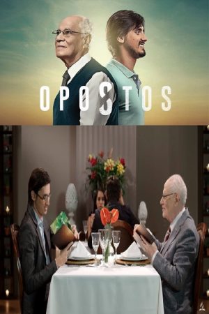 Opostos (2017) poster