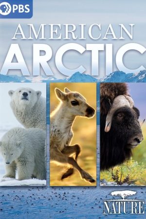 American Arctic (2022) poster