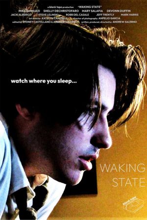 Waking State (2025) poster