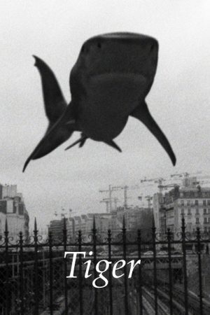 Tiger (2017) poster