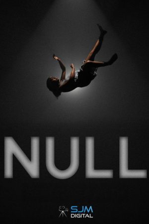 Null (2024) poster