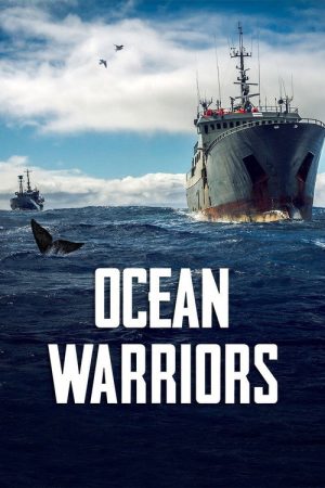 Ocean Warriors (2016) poster